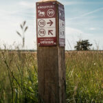 Paardrijden-paal-routepaaltje-bewegwijzering-e1717770999921-960x1333